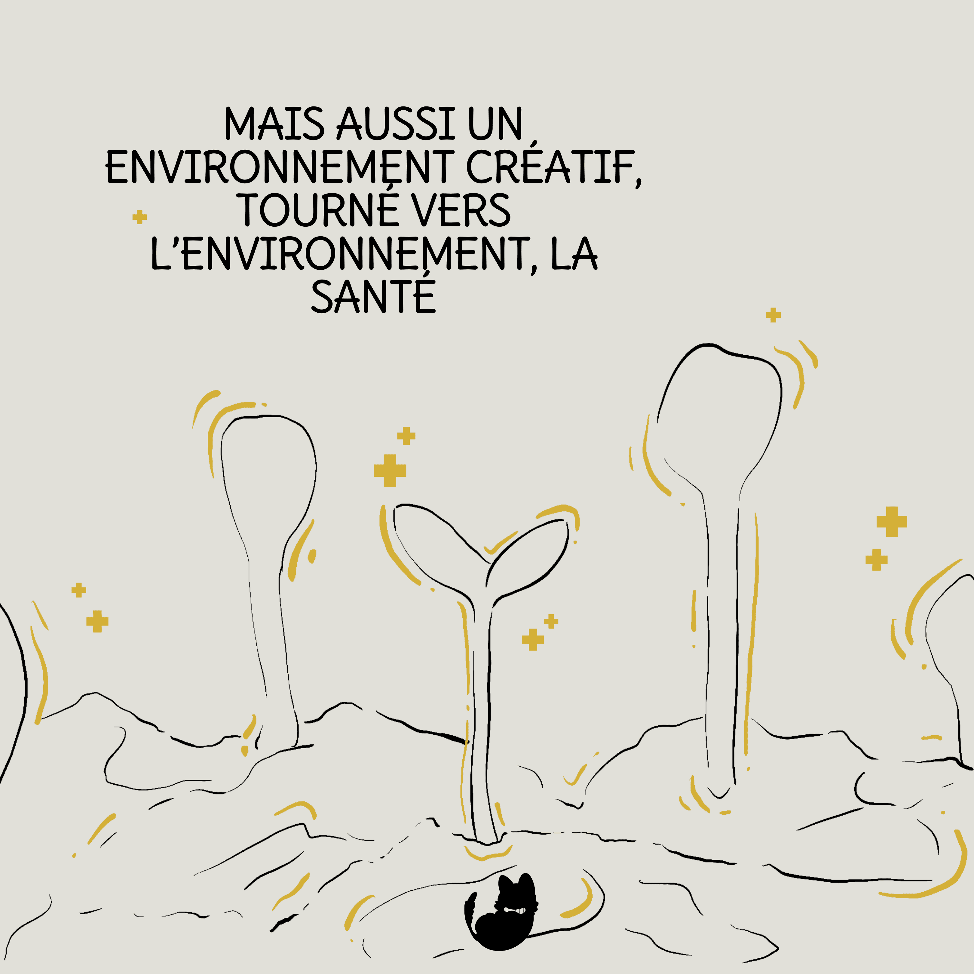 Cha'vari est tournée vers la santé, la préservation de l'environnement. La nature est une source inépuisable d'inspiration pour la créativité.