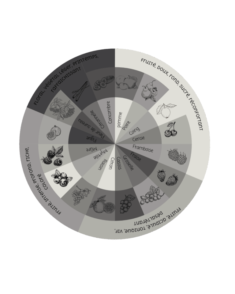 Roue des saveurs du kéfir, avec des propositions de création différentes selon les goûts souhaités